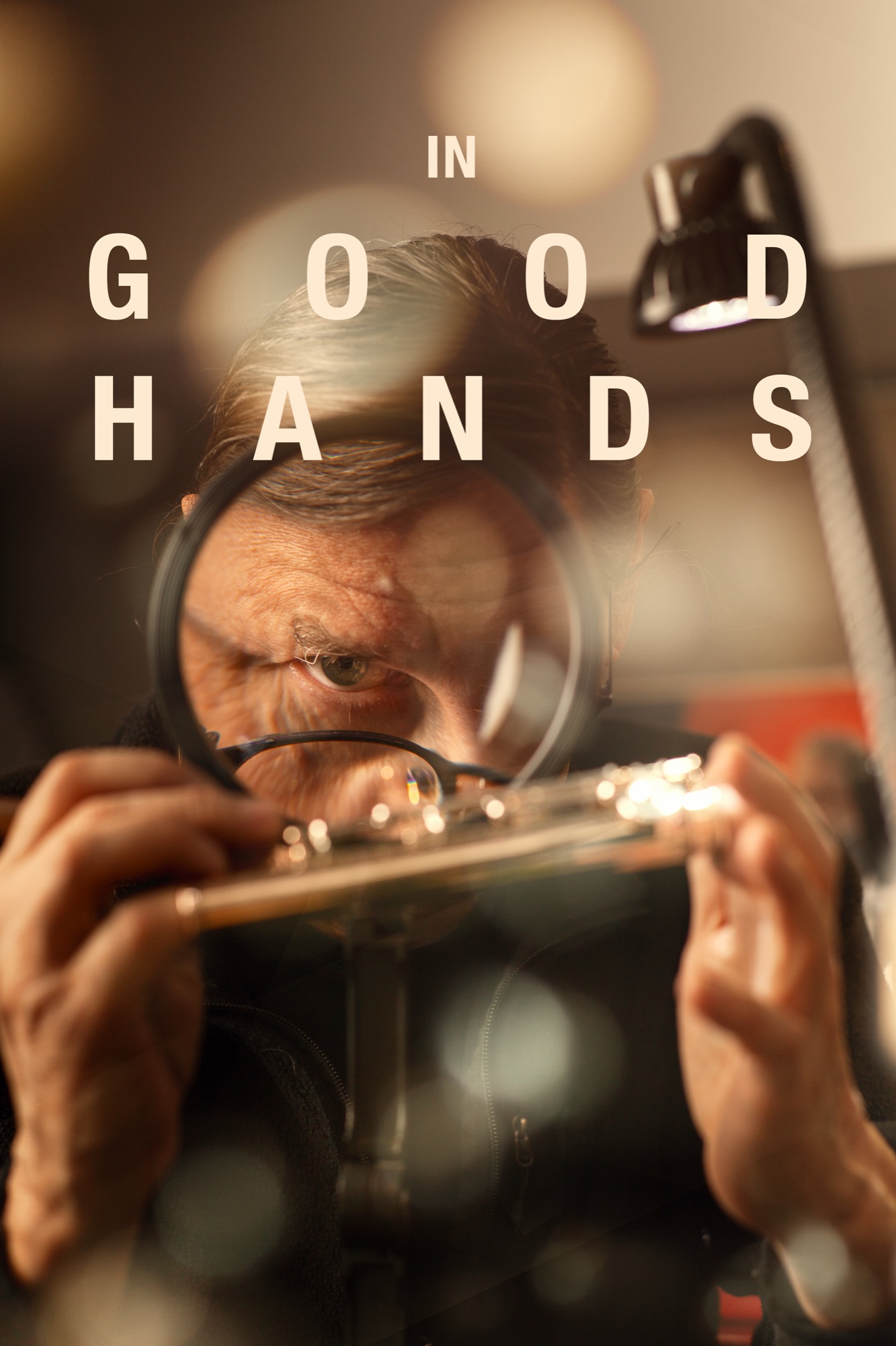 In Good Hands poster